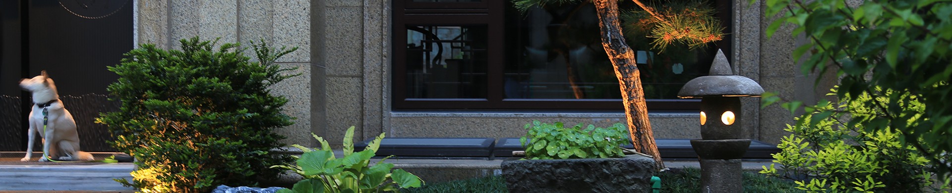 关于我们banner